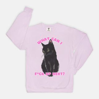 What Can I F*uck Up Next? Naughty Black Cat Sweatshirt