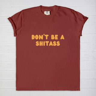 Don't be a shitass t-shirt